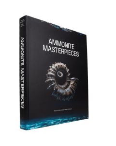 Ammonite Masterpieces