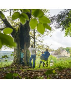 Waldbaden mit Familie