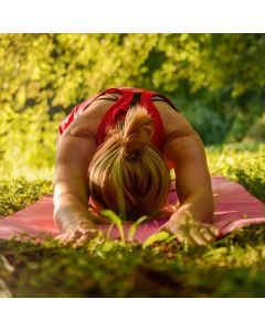 Waldyoga und Naturerleben